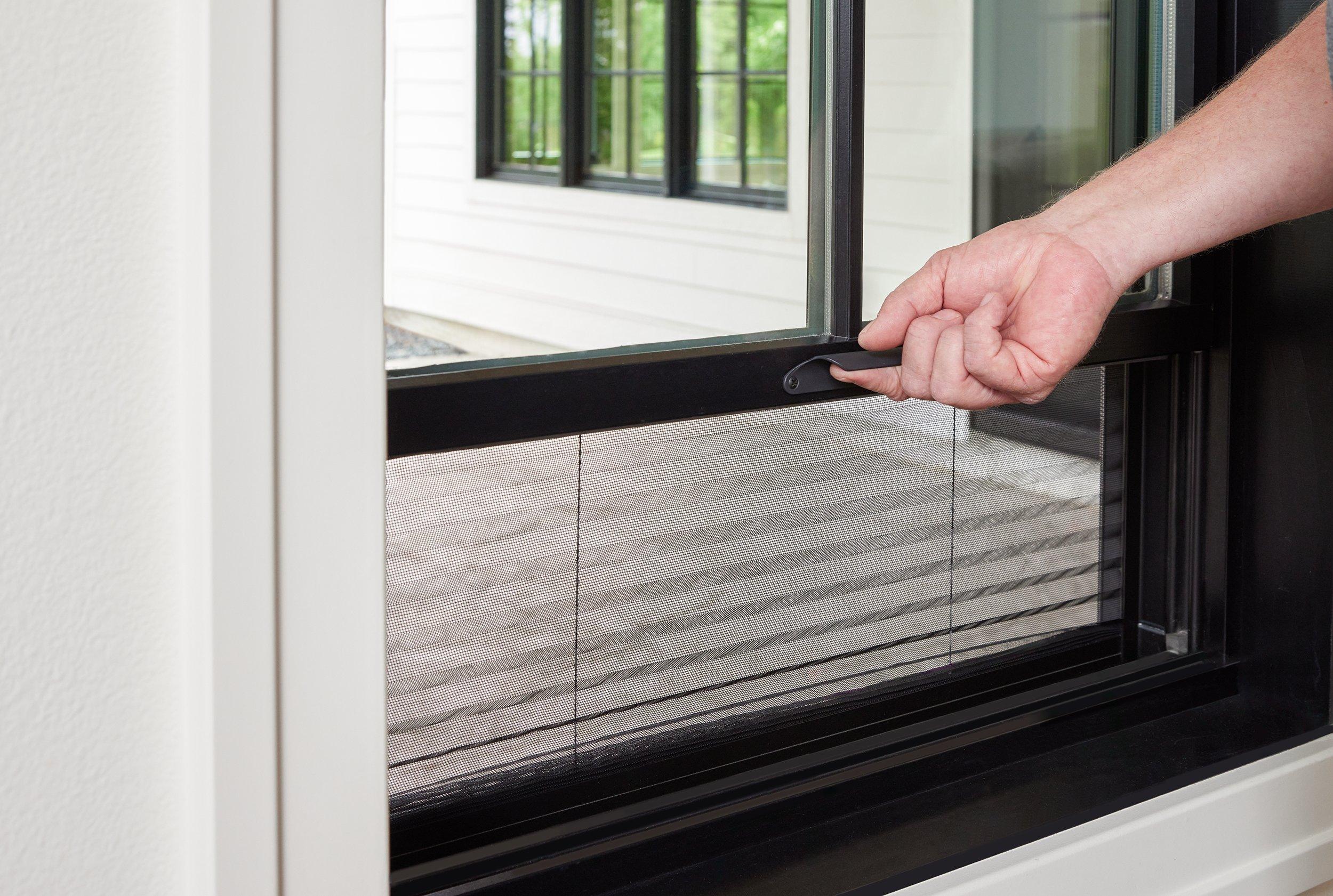 Pella® Lifestyle Series Clad Wood Double-Hung Window with Hidden Screen